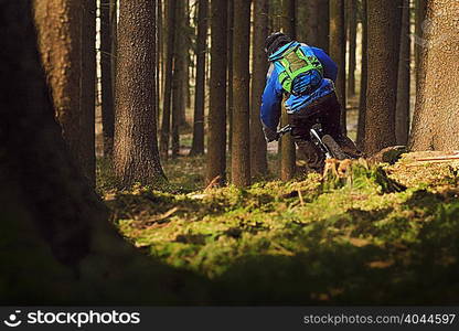 Male mountain biker riding through forest