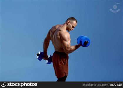 Male muscular athlete holds dumbbells in studio, blue background. One man with athletic build, shirtless sportsman in sportswear, active healthy lifestyle. Male muscular athlete holds dumbbells in studio