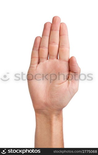 Male palm hand gesture, isolated on a white background