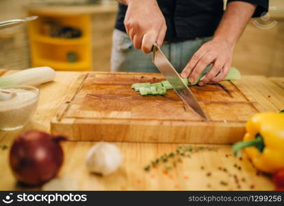 Male person cooking meat with vegetables in a pan on the kitchen. Man preparing boiled pork on table electric stove. Male person cooking meat with vegetables in a pan