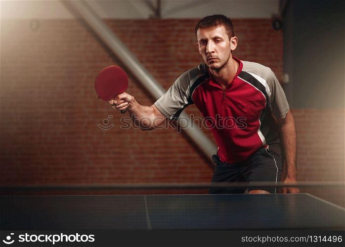 Male person hands with ping pong racket and ball, workout indoors. Man in sportswear standing at the table with net, training in table-tennis club. Male person hands with ping pong racket and ball
