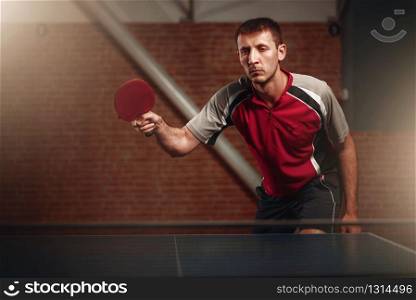 Male person hands with ping pong racket and ball, workout indoors. Man in sportswear standing at the table with net, training in table-tennis club. Male person hands with ping pong racket and ball
