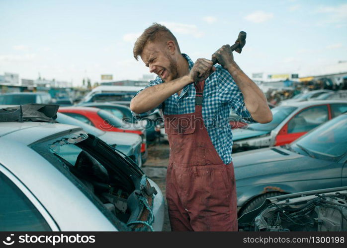 Male repairman hits the glass with a hammer on car junkyard. Auto scrap, vehicle junk, automobile garbage, abandoned, damaged and crushed transport