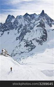 Male skier moving down in snow powder, in background the dent du giant and the Grandes Jourasses; envers du plan, vallA?e blanche, Chamonix, Mont Blanc massif, France, Europe.