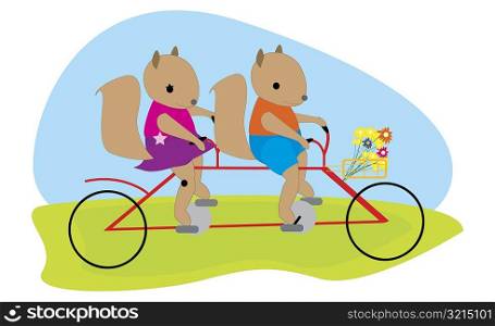 Male squirrel and female squirrel riding a bicycle