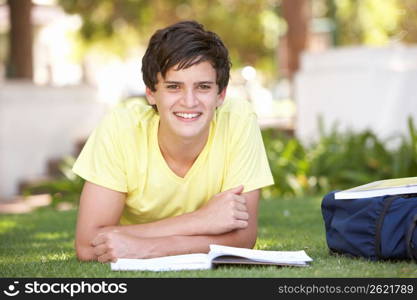 Male Teenage Student Studying In Park