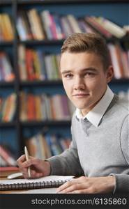 Male Teenage Student Working In Library