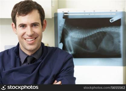Male Veterinary Surgeon Examining X Ray In Surgery
