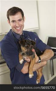 Male Veterinary Surgeon Holding Dog In Surgery