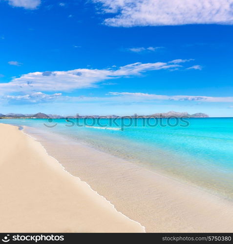 Mallorca Can Picafort beach in alcudia bay at Majorca Balearic islands of Spain