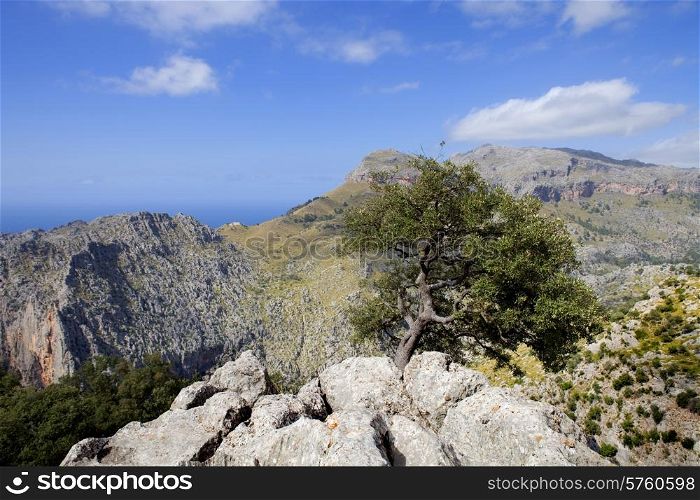 Mallorca mountain view in the north of the island, Spain