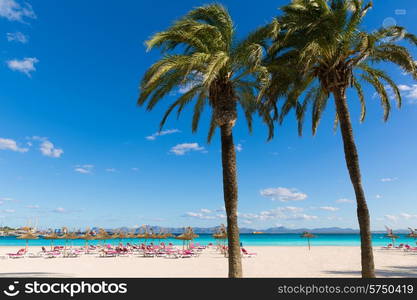 Mallorca Platja de Alcudia beach in Majorca Balearic islands