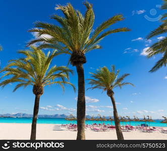 Mallorca Platja de Alcudia beach in Majorca Balearic islands