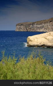Malta island coastal view at Gozo island, focus on the plants
