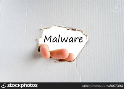 Malware text concept isolated over white background