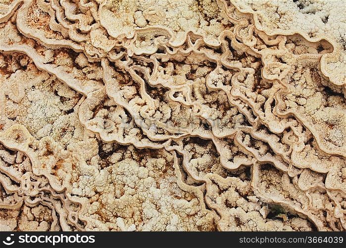 Mammoth Hot Spring texture