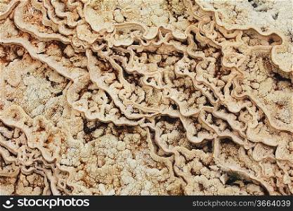 Mammoth Hot Spring texture