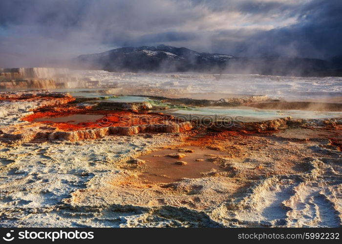 Mammoth Hot Springs in Yellowstone NP, USA