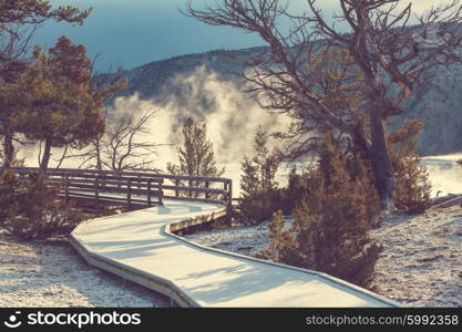 Mammoth Hot Springs in Yellowstone NP, USA