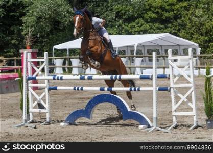 Man and bay horse jumping a fence