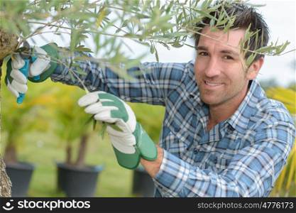 man and plant