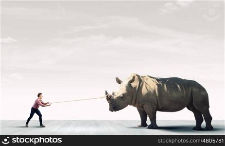 Man and rhino. Young guy holding big rhino on lead