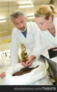 man and woman checking coffee beans