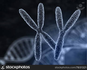 Man and woman chromosomes with macro focus effect. Man and woman chromosomes