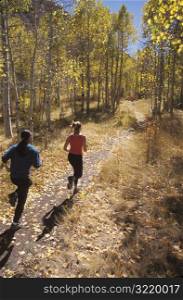 Man And Woman Jogging Through Woods