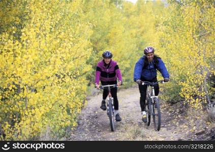 Man and Woman Mountain Biking Through Aspens
