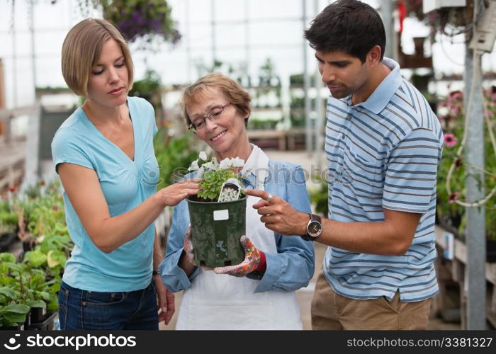 Man and woman shopping for plants