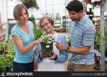 Man and woman shopping for plants