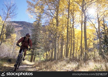 Man Biking Through Aspen Grove