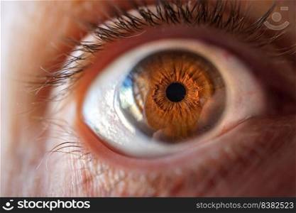 man brown eye macro photography