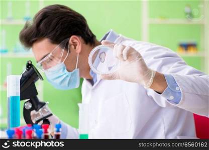 Man chemist working in the lab