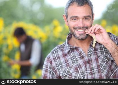 man chewing on corn