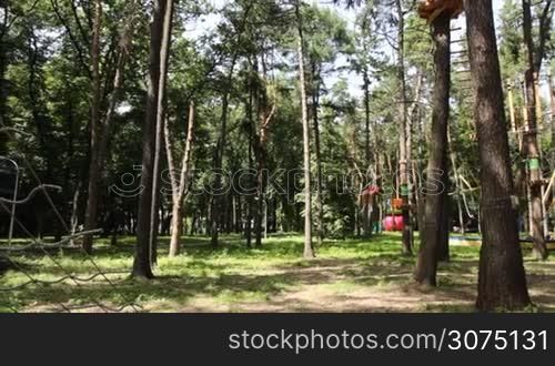 Man climbing the trees in Adventure Park