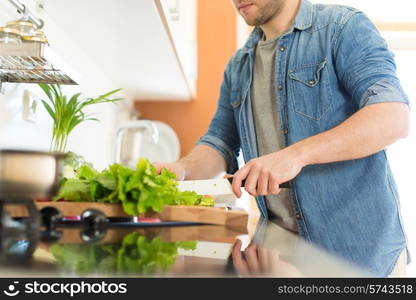 Man cooking and cutting veggies for lunch