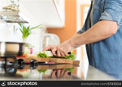 Man cooking and cutting veggies for lunch