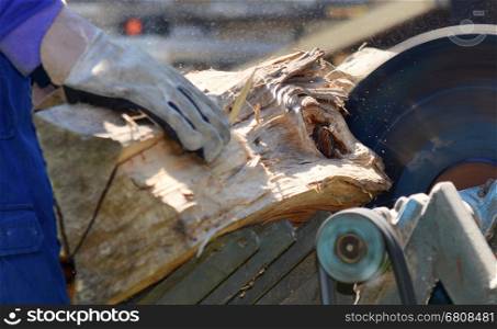 Man cutting the log on circular saw in garden. Cutting wood, Cutting log. Woodworking in garden.