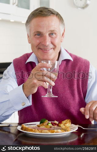 Man Enjoying Healthy meal,mealtime With A Glass Of Wine