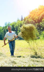 Man farmer turns the hay with a fork for the hay harvest
