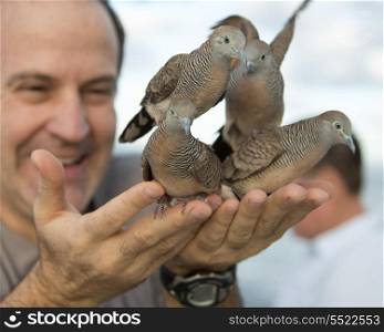 Man feeding pigeons, Waikiki, Diamond Head, Kapahulu, Honolulu, Oahu, Hawaii, USA