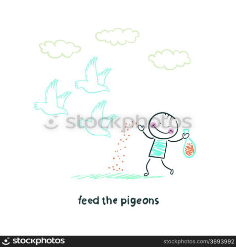 man feeds pigeons