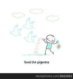 man feeds pigeons