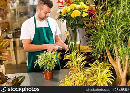 Man florist reading price barcode reader flower shop plant