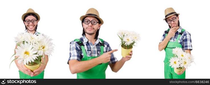 Man gardener with flowers on white