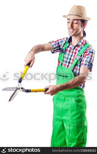 Man gardener with shears on white