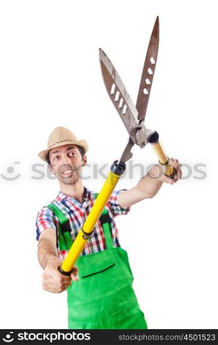 Man gardener with shears on white