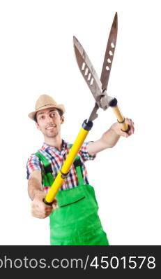 Man gardener with shears on white